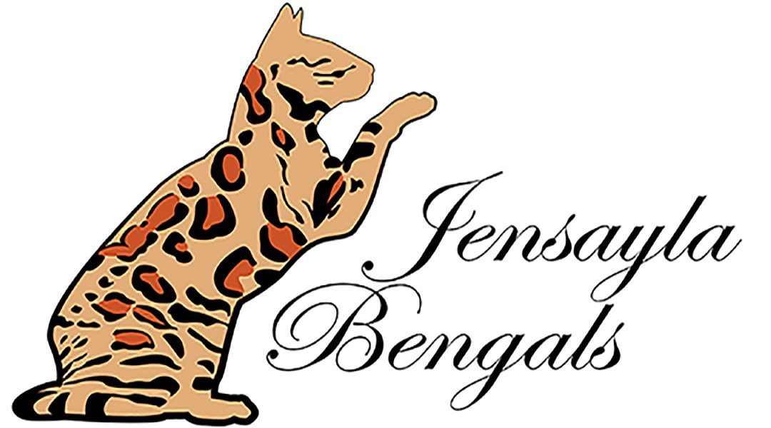 Jensayla Bengals logo